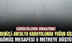 Denizli-Antalya karayolunda yoğun sis
