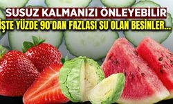 Yüzde 90'dan fazlası su olan 8 besin nedir?