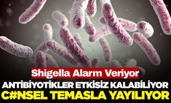Tedavisi Giderek Zorlaşıyor: Uzmanları Endişelendiren Bakteri! Shigella...