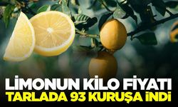 Üreticinin batış yılı: Limon dalında 93 kuruş!