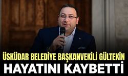 Ziya Gültekin trafik kazasında hayatını kaybetti