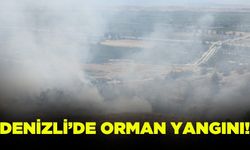 Denizli'de otluk ve ormanlık alanda yangın!