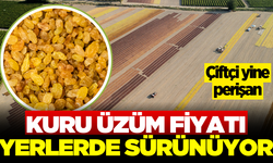 Kuru üzüm fiyatı beklentilerin çok altında kaldı