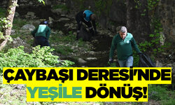 Çaybaşı Deresi’nde Doğaya Nefes: 12 Hasta Ağaç Kesildi, 78 Yeni Fidan Toprakla Buluştu