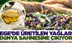 Ege'de üretilen zeytinyağları dünya piyasasına açılıyor