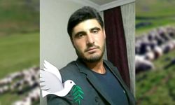 Manisa'da üzerine yıldırım düşen çoban öldü