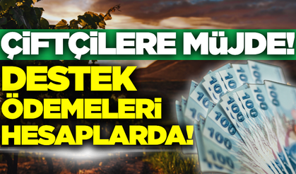 Çiftçileri sevindirecek haber: 5,1 milyar liralık destek ödemesi hesaplarda!