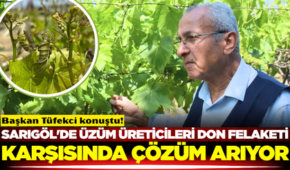 Sarıgöl'de bağcılar zirai dondan nasıl korunur?