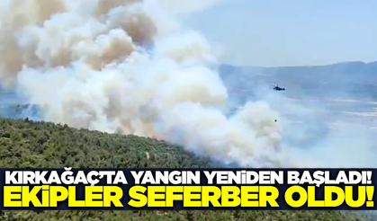 Kırkağaç'ta kontrol altına alınan yangın rüzgarın etkisiyle tekrar başladı