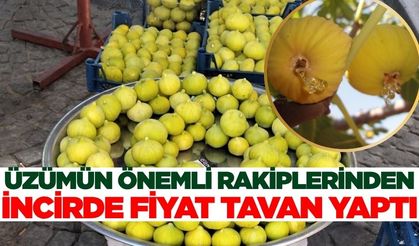 İncir tezgahlardaki yerini aldı! Fiyatı cep yaktı