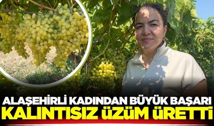 Alaşehirli kadın girişimci, kalıntısız üzüm üretti