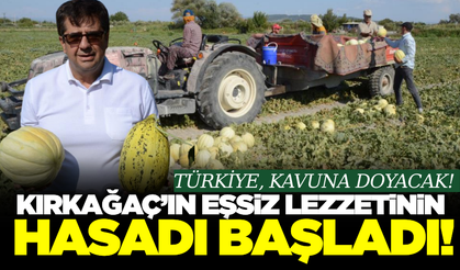 Kırkağaç'ın eşsiz lezzeti Türkiye sofralarında! 30 bin ton rekolte bekleniyor