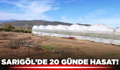 Sarıgöl'de hasat heyecanı!