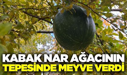 Buldan'daki manzara görenleri şaşırttı