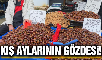 Kış aylarının vazgeçilmezi Simav kestanesi tezgahlarda!