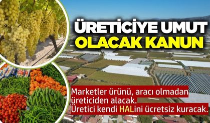 Yeni hal kanunu geliyor! Üretici kendi halini kurup satış yapacak