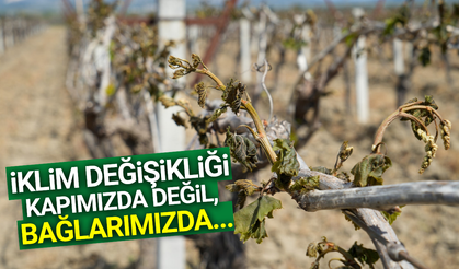 İklim değişikliği kapımızda değil, bağlarımızda...