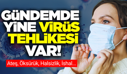 Resmi açıklama geldi: H3N2 virüsü Türkiye'de var mı?