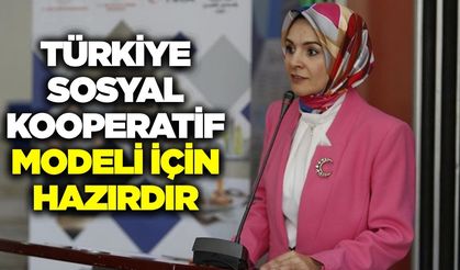 Türkiye'de Sosyal Kooperatifçilik dönemi