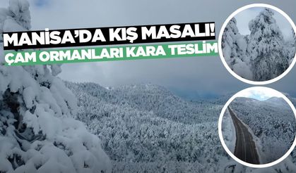 Akçakertik’in Kartpostallık manzarası görenleri büyüledi!