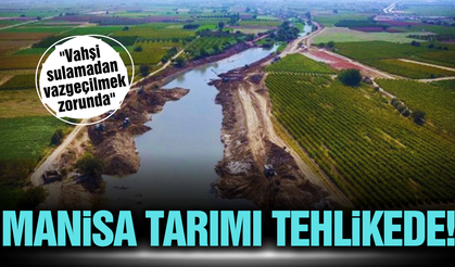 Manisa ekonomisinin bel kemiği kuraklık  tehdidi altında!