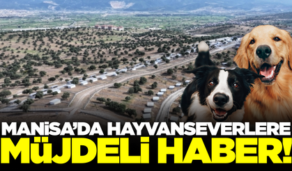 Manisa'da hayvanseverleri sevindiren haber!