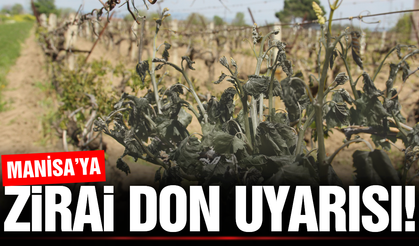 Manisalılar dikkat: Meteoroloji'den zirai don uyarısı!