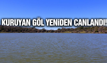 Geçen yıl tamamen kurumuştu: Tepegöl yeniden hayat buldu!