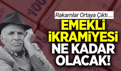 Milyonlarca emekliyi ilgilendiren haber: Rakamlar ortaya çıktı!