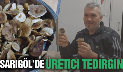 Sarıgöl’de alışılmadık manzara!