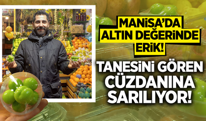 Yeşil Altın Manisa’da! Kilosu 7 Bin Lira, Satışlar Patladı!