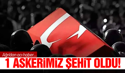 Ağrı'da askeri araç kaza yaptı: 1 uzman çavuş şehit oldu