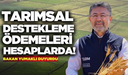 Bakan Yumaklı duyurdu: Ödemeler hesaplara yatıyor!