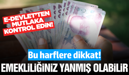 E-Devlet'te o harfleri görürseniz emekliliğiniz yanabilir!
