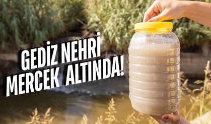 Gediz Nehri alarm veriyor!
