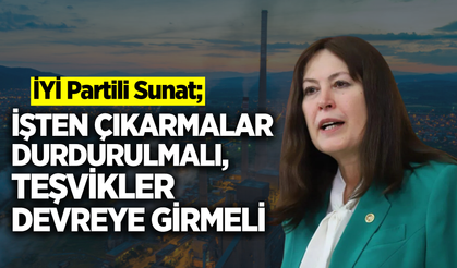 İYİ Partili Şenol Sunat'tan Soma çıkarması!