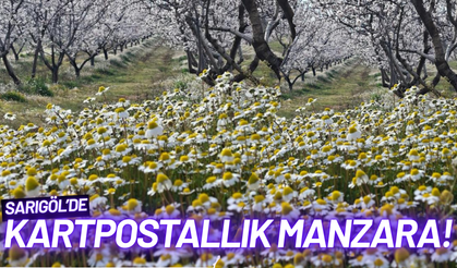 Sarıgöl'de kartpostallık manzara!