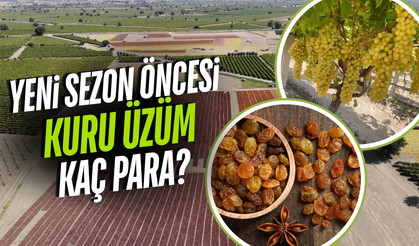 Manisa'da kuru üzüm fiyatlarında son durum ne?