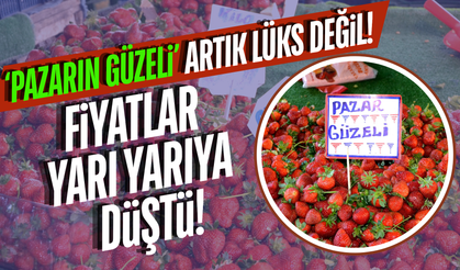 Manisa’da Çilek Mesaisi Başladı: Fiyatlar Yarı Yarıya Düştü!