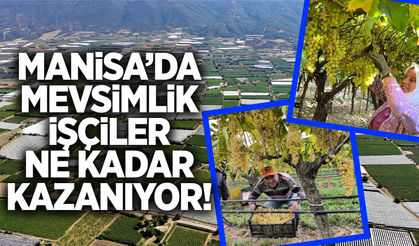 Manisa'da tarım işçileri ne kadar kazanıyor?
