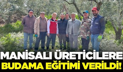 Manisa'da üreticilere budama eğitimi verildi!