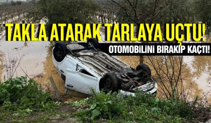 Salihli'de tarlaya uçan otomobilin sürücüsü kaçtı!