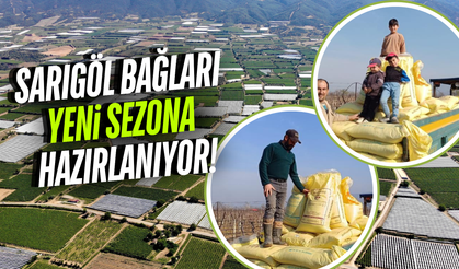 Sarıgöl bağlarında yeni sezon hazırlığı!