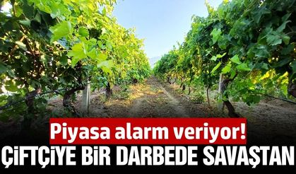 Savaş yine çiftçiyi vurdu: Gübre piyasası alarm veriyor