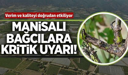 Uzmanından bağcılara kritik uyarı!