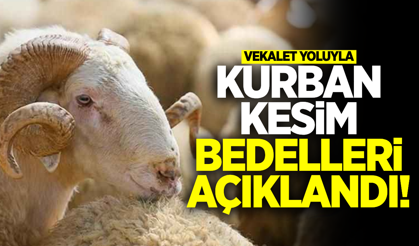 2026 Yılı Vekaletle Kurban Kesim Bedelleri Açıklandı