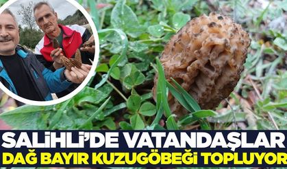 Kuzugöbeği bulan altın bulmuş gibi seviniyor