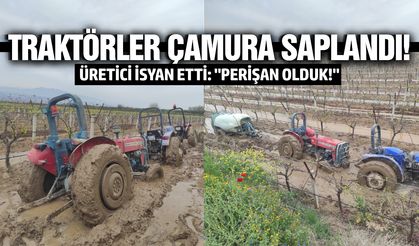 Alaşehir'de çay taştı: Üreticiler zor durumda!