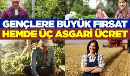 Gençlere maaşlı çiftçilik modeli: 40 bin kişi istihdam sağlayacak