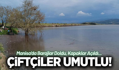 Manisa'da yağışlar üreticinin yüzünü güldürdü!